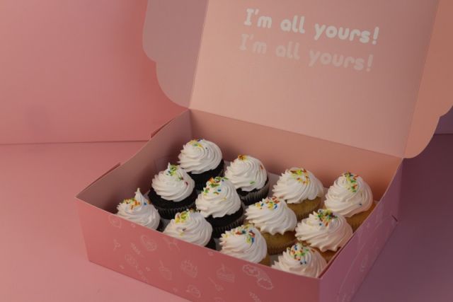 1 Dozen Sprinkle Cupcakes